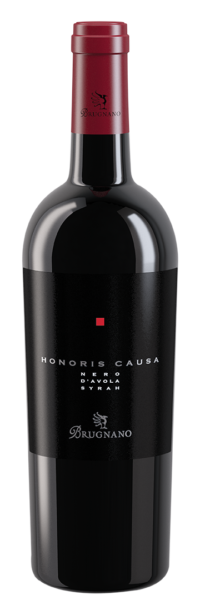 HonorisCausa-Brugnano-Vini